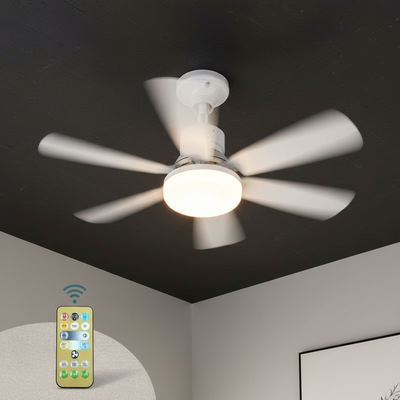 Ventilateur de Plafond LED 2en1